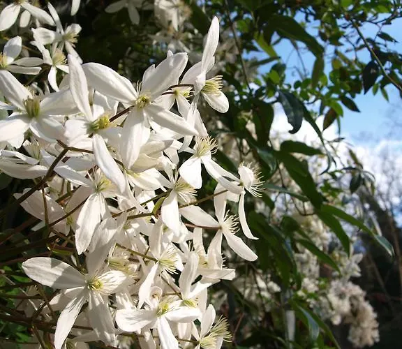 Au Jardin 3* Meilhan-sur-Garonne