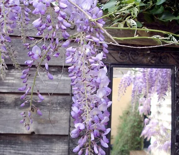 Au Jardin Meilhan-sur-Garonne