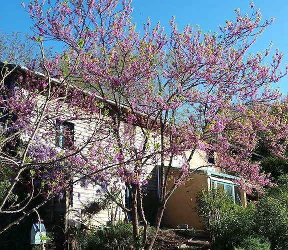 فندق Au Jardin